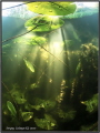judged by our editor who says...
Great atmospheric shot with wonderful lighting and colors monthly hotshot click to zoom
